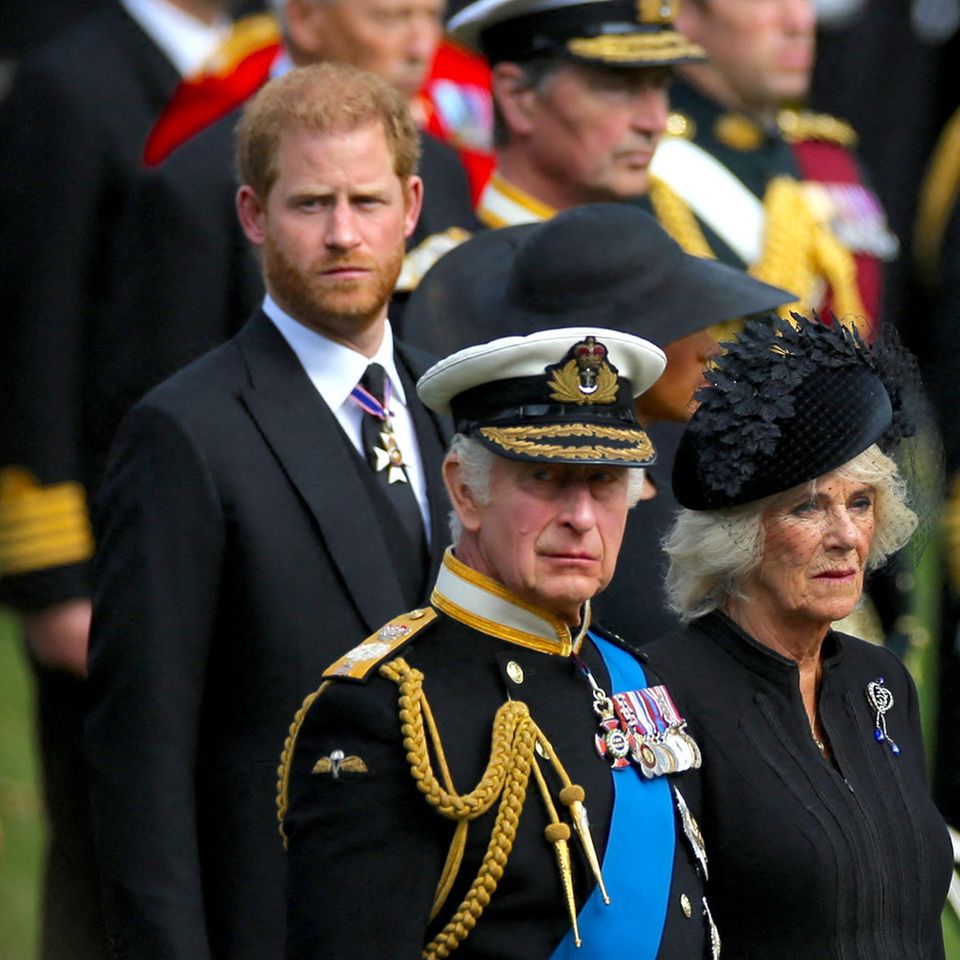 Prinz Harry, König Charles und Königin Camilla
