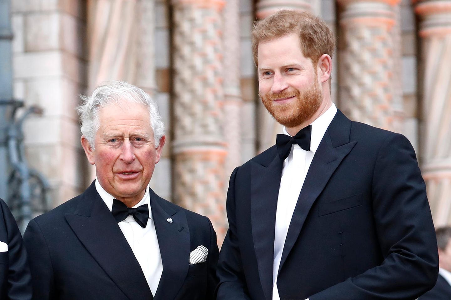 König Charles und Prinz Harry