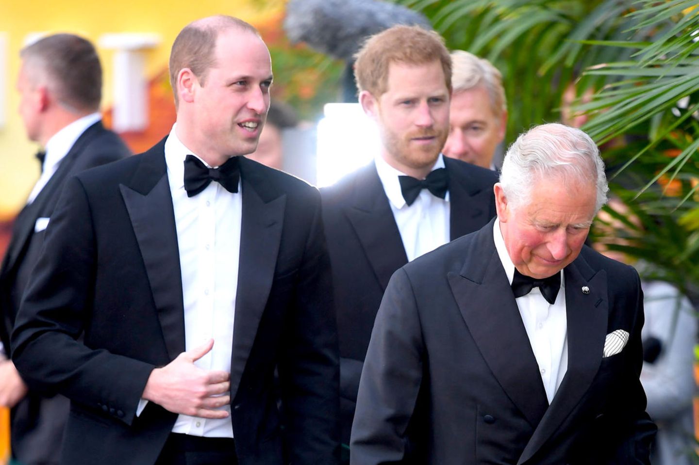 Prinz William, Prinz Harry und König Charles