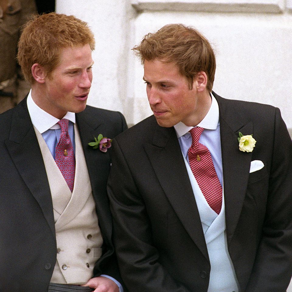 Prinz Harry und Prinz William 2005