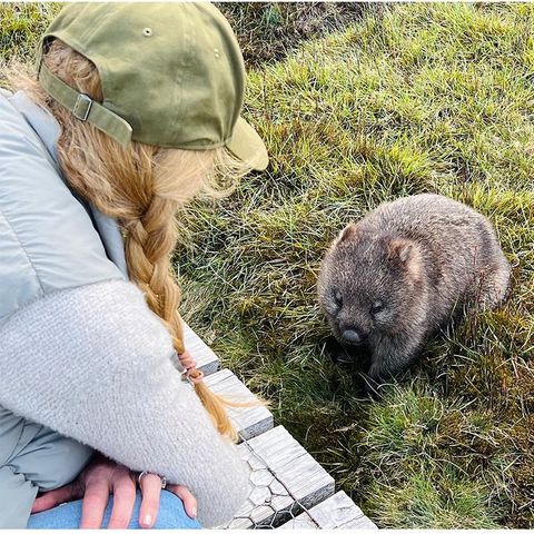 Tierfreunde: Nicole Kidman mit Wombat