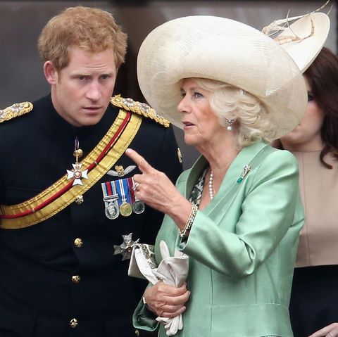 Prinz Harry und Herzogin Camilla