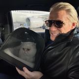 Cat Content: Dolph Lundgren mit Katze