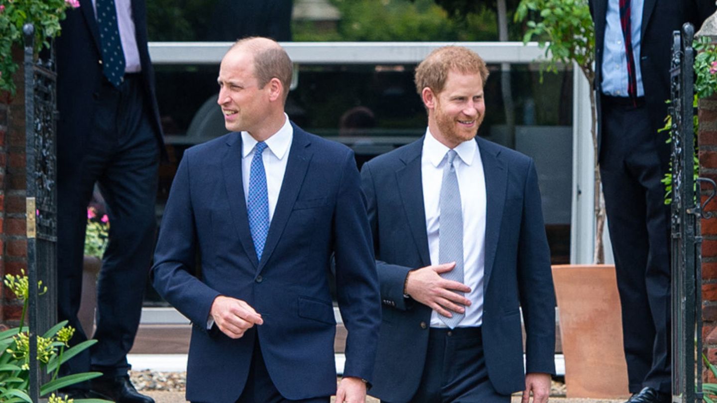 Примирение братьев. Принц Уильям. Prince William and Prince Harry.