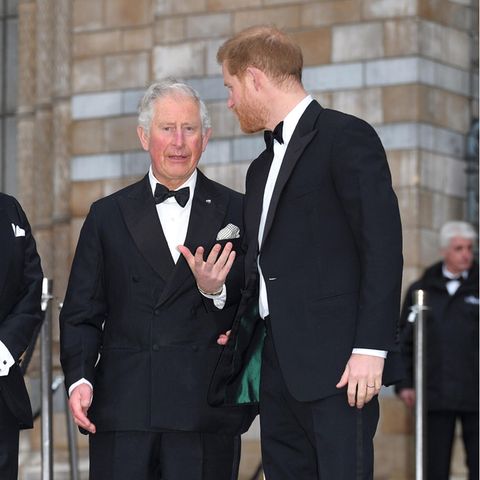 König Charles und Prinz Harry
