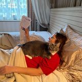 Cat Content: Drew Barrymore mit Katze