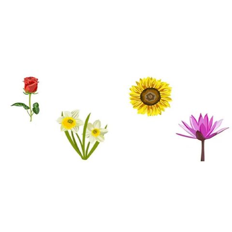 Persönlichkeitstest: Ihre Blumen Wahl offenbart, worin Sie besonders aufblühen