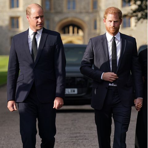 Prinz William und Prinz Harry