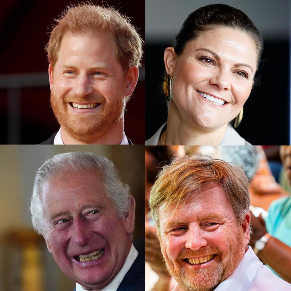 Prinz Harry, Prinzessin Victoria, König Charles, König WIllem-Alexander