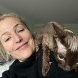 Cat Content: Gillian Anderson mit Katze