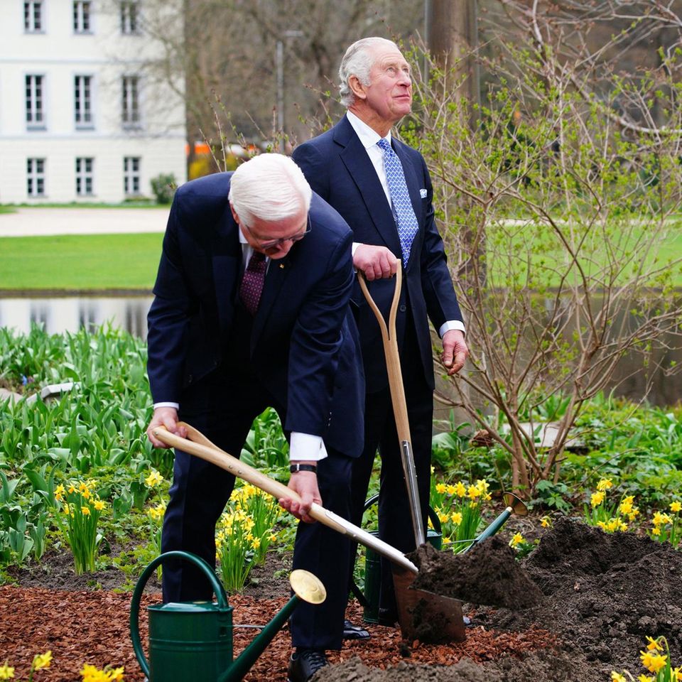 Frank-Walter Steinmeier und König Charles pflanzen einen Baum im Garten von Schloss Bellevue