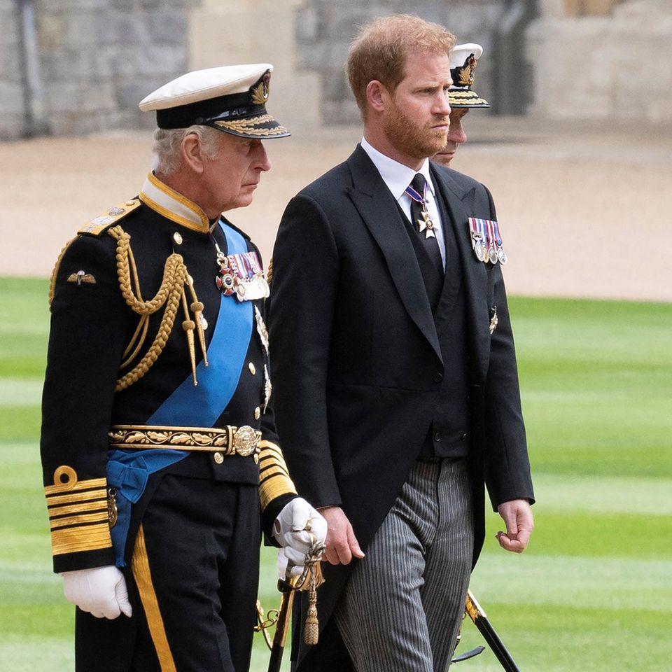 König Charles und Prinz Harry
