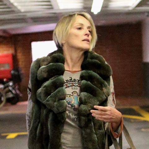 Sharon Stone