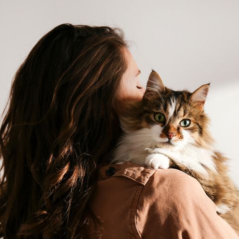 Frau mit Katze auf dem Arm: Deshalb sind Menschen, die mit ihren Tieren sprechen, intelligenter
