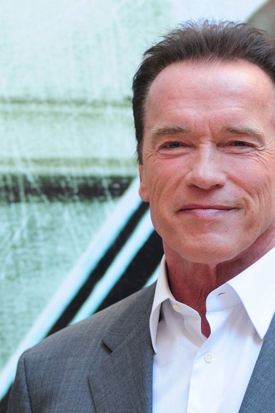 Terminator Arnold Schwarzenegger.