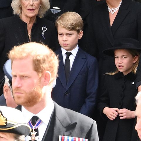 Prinz Harry + Prinz George + Prinzessin Charlotte