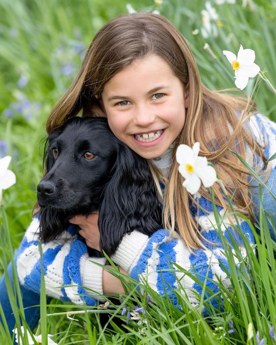 2. Mai 2023 Das gab es noch nie! Nachdem Catherine, Princess of Wales, und Prinz William ihrer Tochter Charlotte am Morgen mit einem neuen Foto zum Geburtstag gratulierten, bedanken sie sich nun mit einer weiteren Aufnahme der Achtjährigen für die zahlreichen Glückwünsche. Der Schnappschuss zeigt Charlotte mit Hündchen Orla auf einer Wiese. 2. Mai 2023 Das gab es noch nie! Nachdem Catherine, Princess of Wales, und Prinz William ihrer Tochter Charlotte am Morgen mit einem neuen Foto zum Geburtstag gratulierten, bedanken sie sich nun mit einer weiteren Aufnahme der Achtjährigen für die zahlreichen Glückwünsche. Der Schnappschuss zeigt Charlotte mit Hündchen Orla auf einer Wiese.