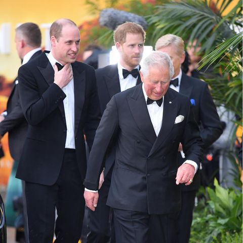 Prinz William, Prinz Harry und König Charles
