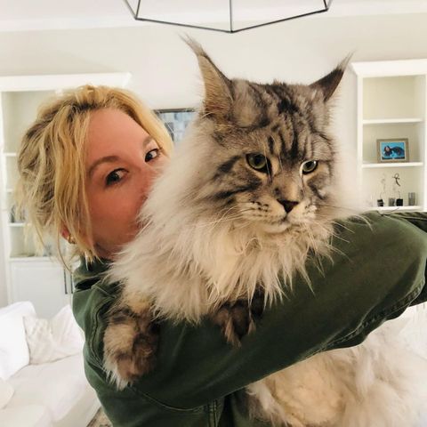 Cat Content: Jenna Elfman mit Katze