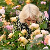 Windsor RTK: Königin Camilla
