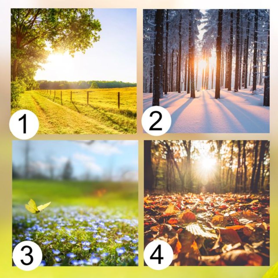 Frühling, Sommer, Herbst, Winter | Persönlichkeitstest: Was Ihre Lieblingsjahreszeit über Sie aussagt