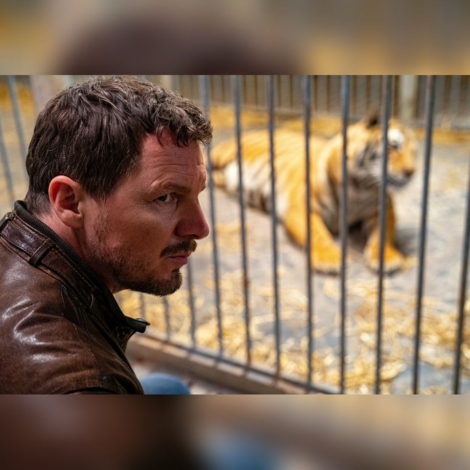 "Tatort: Die Nacht der Kommissare": Kommissar Sebastian Bootz (Felix Klare) unter vier Augen mit einem schwäbischen Tiger.