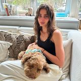 Hollywuff: Taylor Hill