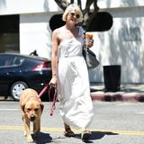 Selma Blair genießt ihren Spaziergang durch das sonnige Los Angeles nicht nur in bester Begleitung ihres Hundes, sondern auch mit einem großen Coffee on Ice. 