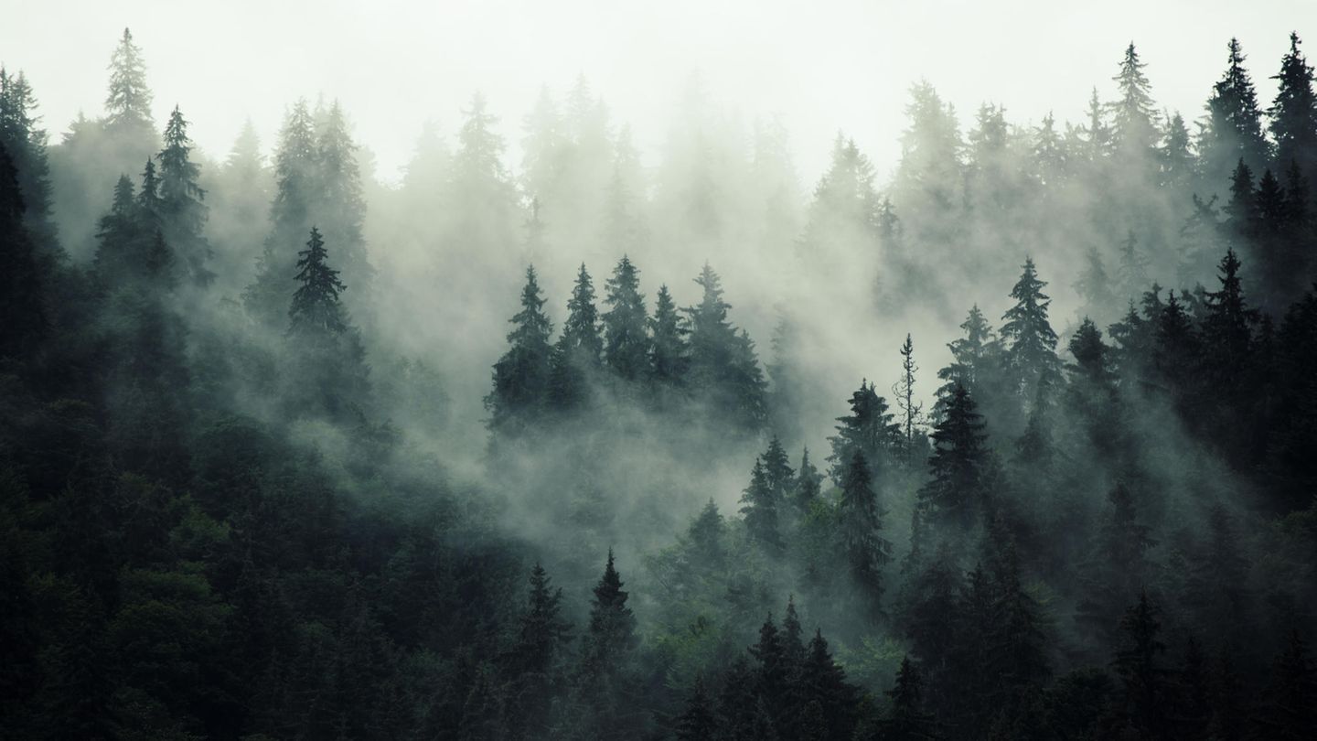 Traumdeutung Nebel Was bedeutet das? GALA.de