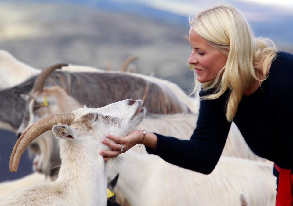 Prinzessin MetteMarit wird 50 Das Leben der norwegischen Royal in