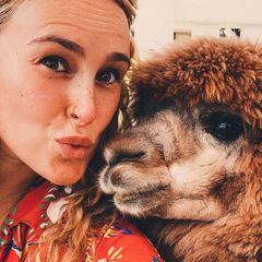 Rumer Willis hat einen neuen Freund gefunden, wie sie auf Instagram verrät und der tierische Geselle scheint nichts gegen ein kuscheliges Selfie zu haben. Ob wir uns in Zukunft über noch mehr Alpaka-Content von Rumer freuen können? 