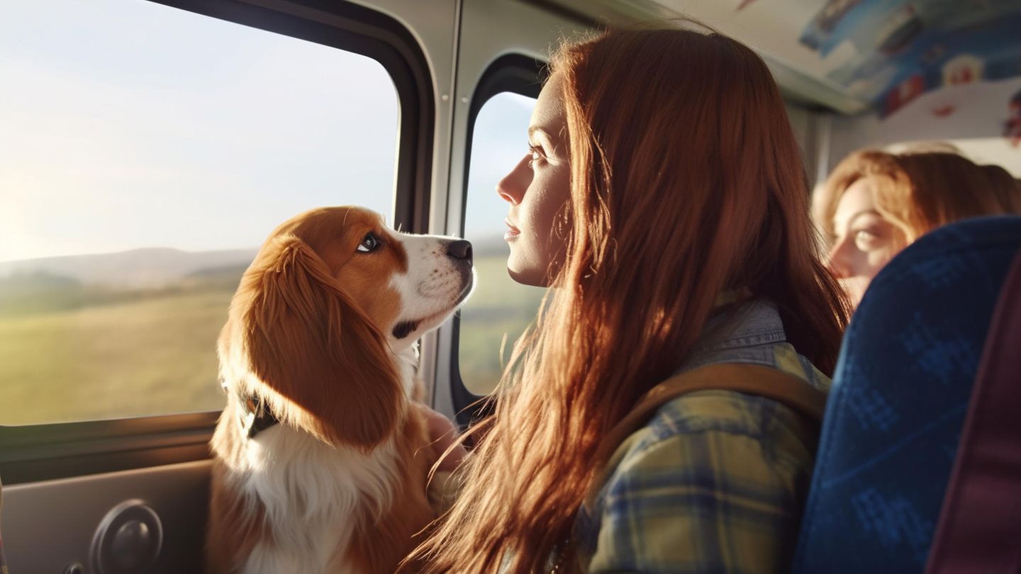 Horoskop: Diese 5 Sternzeichen besitzen die höchste emotionale Intelligenz