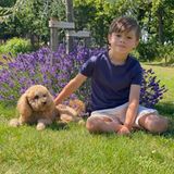 Prinz Oscar kuschelt mit Familienhund Rio auf einer Wiese. Was für schöne Sommermomente, die Prinzessin Victoria hier mit uns teilt. 
