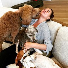 Chrissy Teigen macht es vor, mit welcher Beschäftigung wohl jeder Hundeliebhaber den heutigen Internationalen Tag des Hundes (26. August 2023) am liebsten verbringen möchte, und zwar ausgiebeig mit dem oder den geliebten Vierbeinern zu kuscheln! 