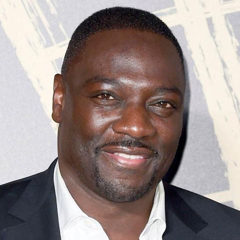 Adewale Akinnuoye-Agbaje