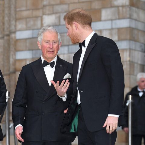 König Charles und Prinz Harry