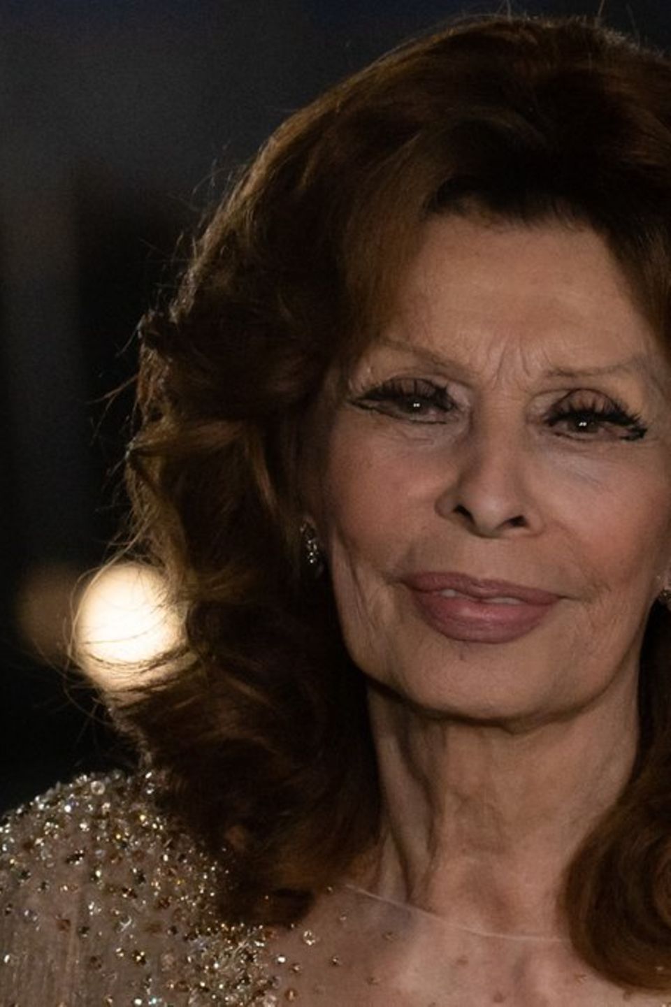 Kurz nach ihrem 89. Geburtstag stürzte Sophia Loren in ihrem Badezimmer und zog sich schwere Brüche zu.