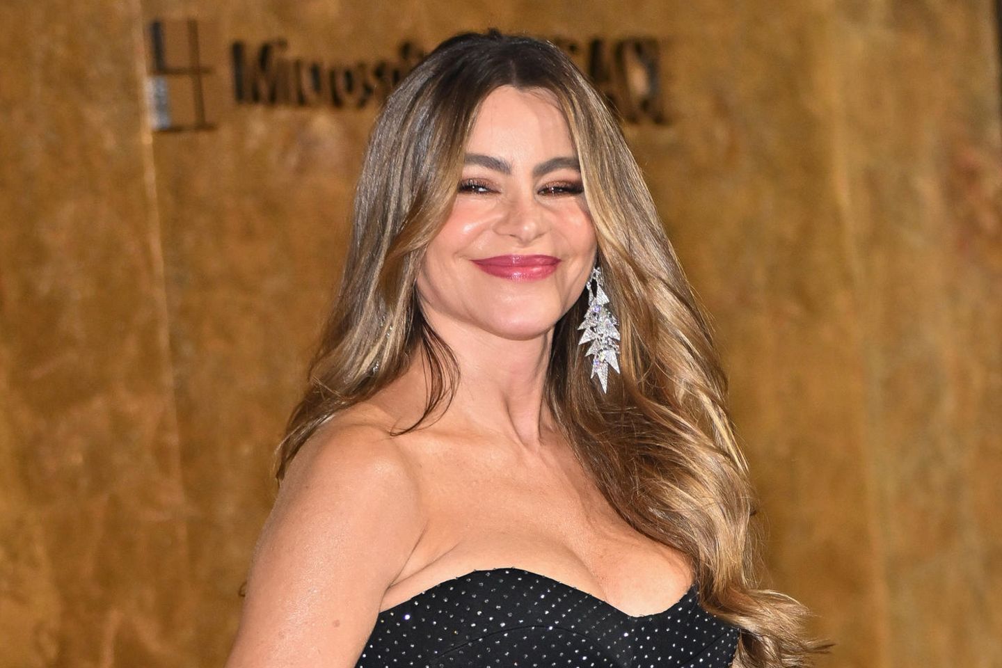 Sofía Vergara: Nach Trennung in Paris mit einem neuen Mann | GALA.de