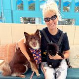 Am internationalen Tag des Hundes feiert Jazmin Grimaldi ihre tierischen Begleiter ganz besonders. Auf Instagram stellt sie ihren Hund Frankie Bleu und neues Familienmitglied Feebie Noir vor und hofft, damit dem ein oder anderen Follower ein Lächeln ins Gesicht zu zaubern. Die Hunde-Fans reagieren mit zahlreichen Herz-Emojis auf Jazmins Beitrag.