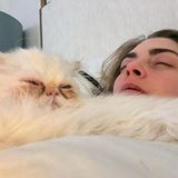 Cat Content:Cara Delevigne mit Katze