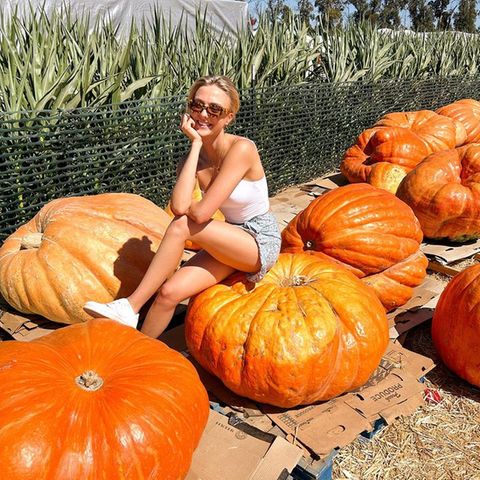 Diese Kürbisse sind wohl nicht zum Essen da. Lilly Krug nimmt auf einem riesigen Kürbis Platz und bringt mit dem gigantischen Gemüse ihre Fans auf Instagram zum Staunen. Wir sind ebenfalls beeindruckt!
