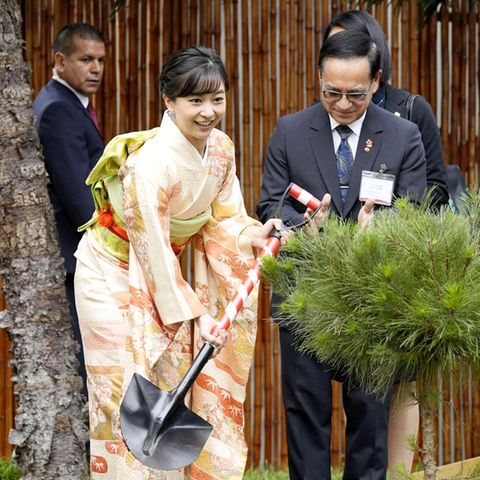 3. November 2023  Prinzessin Kako ist derzeit auf einer zehntätigen Reise in Peru, um 150 Jahre diplomatische Beziehungen des Landes mit Japan zu feiern. In einem japanisch-peruanischen Kulturzentrum in Lima pflanzt die zweite Tochter von Kronprinz Akishino und seiner Frau Kiko bestens gelaunt ein Bäumchen.