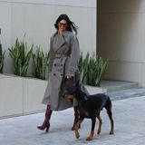 Hollywuff: Kendall Jenner