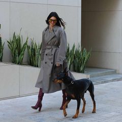 Hollywuff: Kendall Jenner