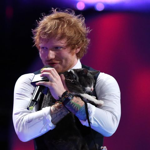 Ed Sheeran: Sänger bringt Modekollektion auf den Markt