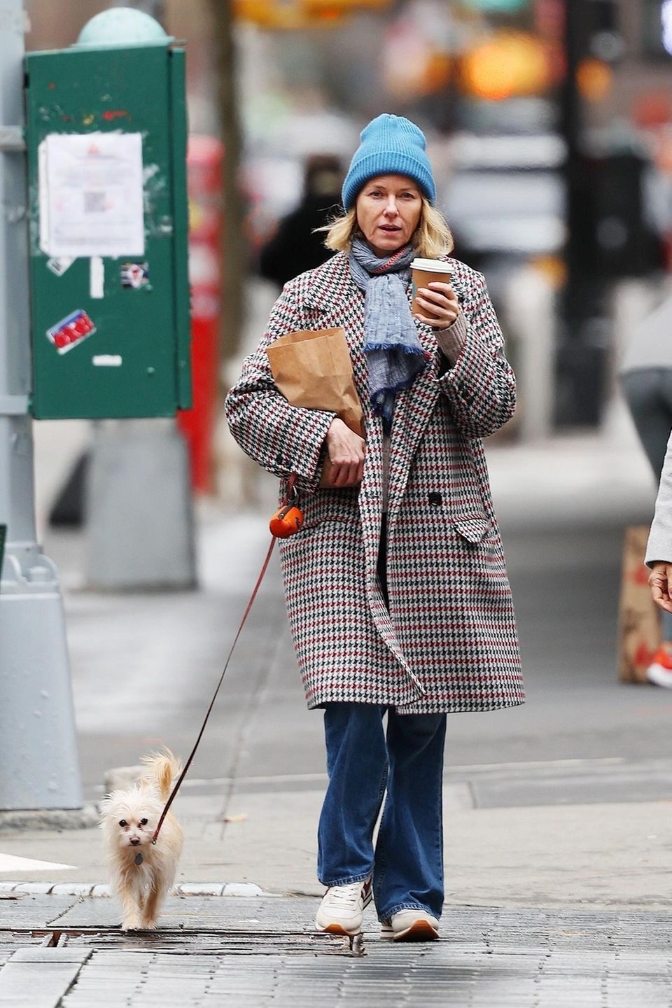 Unterwegs in flauschiger Begleitung: Bei einem Spaziergang mit ihrem Hund durch das New Yorker Hippie-Viertel Tribeca lässt Naomi Watts es entspannt angehen. Um sich warm zu halten kombiniert sie zu ihrer Straight-Blue-Jeans einen farbenfrohen Karo-Overcoat und eine Mütze in einem knalligen Blau als kleiner Hingucker.