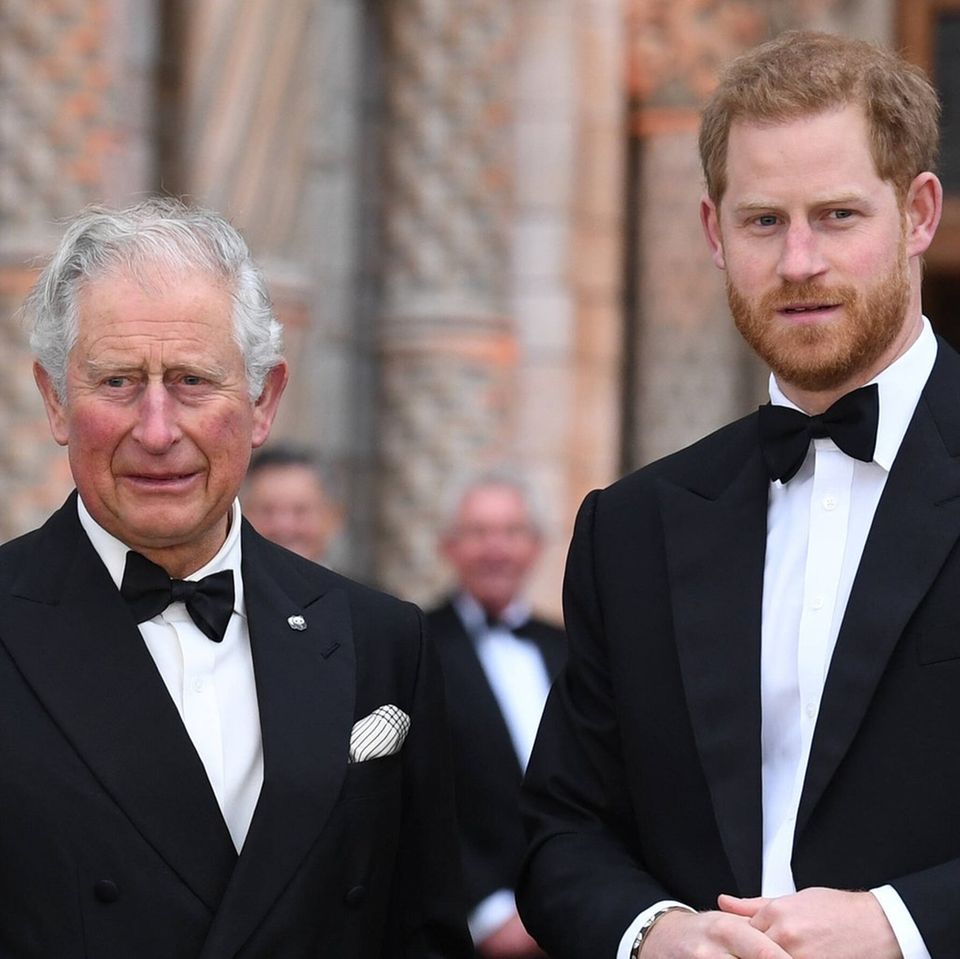 Im Mai soll es ein weiteres kurzes Treffen zwischen Prinz Harry und König Charles III. geben.