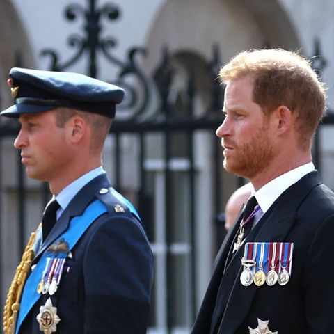Prinz William und Prinz Harry haben sich in den letzten Jahren voneinander entfernt: Steht jetzt eine Versöhnung der Brüder im