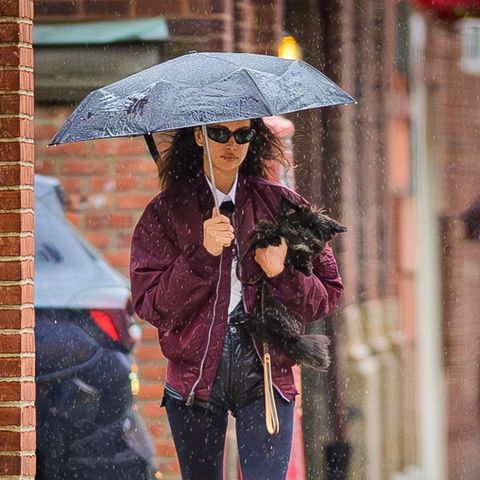 Stars im Regen: Irina Shayk mit Hund