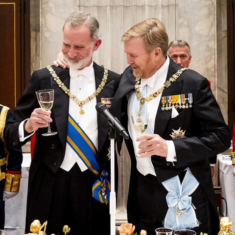 Nach seiner Rede legt König-Willem-Alexander freundschaftlich den Arm um König Felipe. 